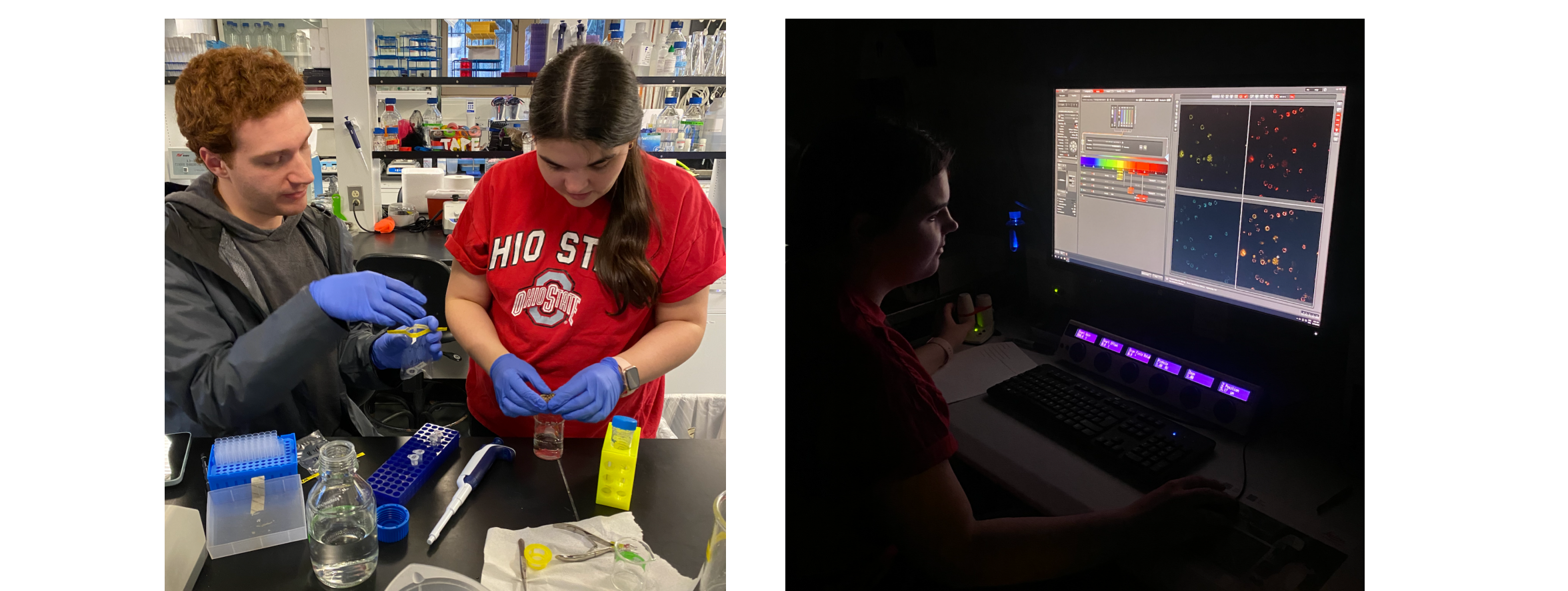 Images of Katelyn working in the lab!