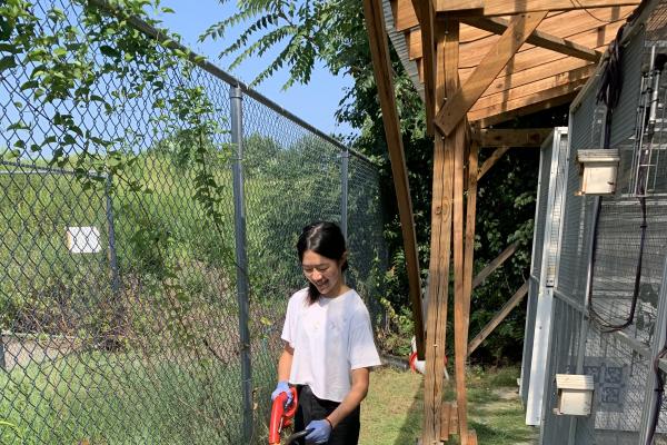 Shirley Li feeding songbirds