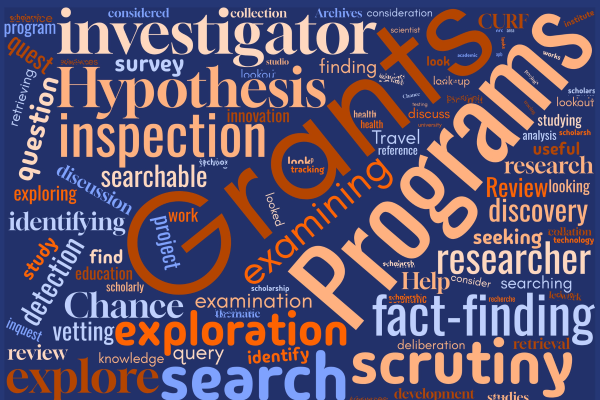 Funding opportunities word cloud